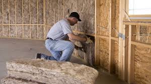 Best Basement Insulation  in Proctor, VT